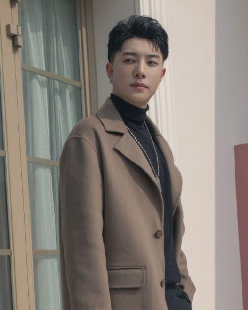 中国男歌手爆料视频播放,独家幕后故事大公开  第3张