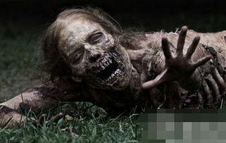 美国僵尸在线观看,在线惊悚盛宴，带你领略末世求生之旅  第3张